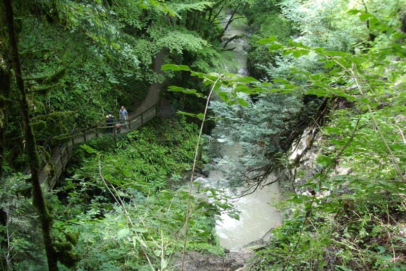 Vertical photo