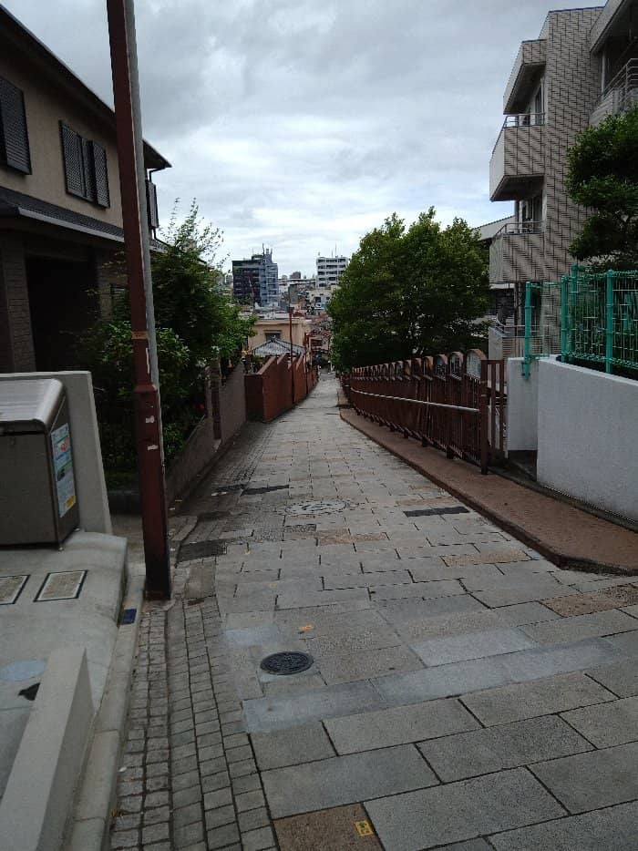 Vertical photo