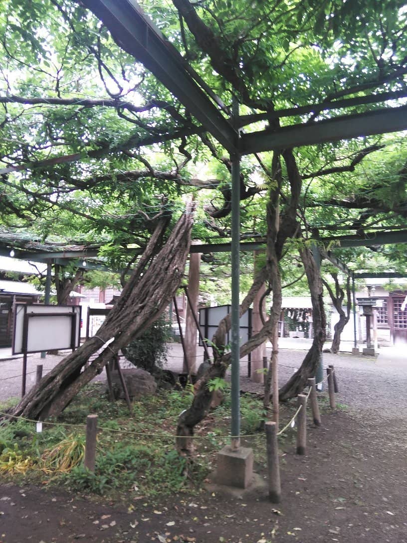 Vertical photo