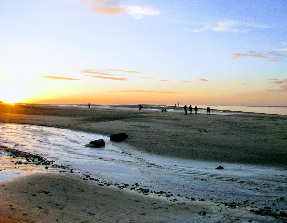 Vibrant Spring Blooms