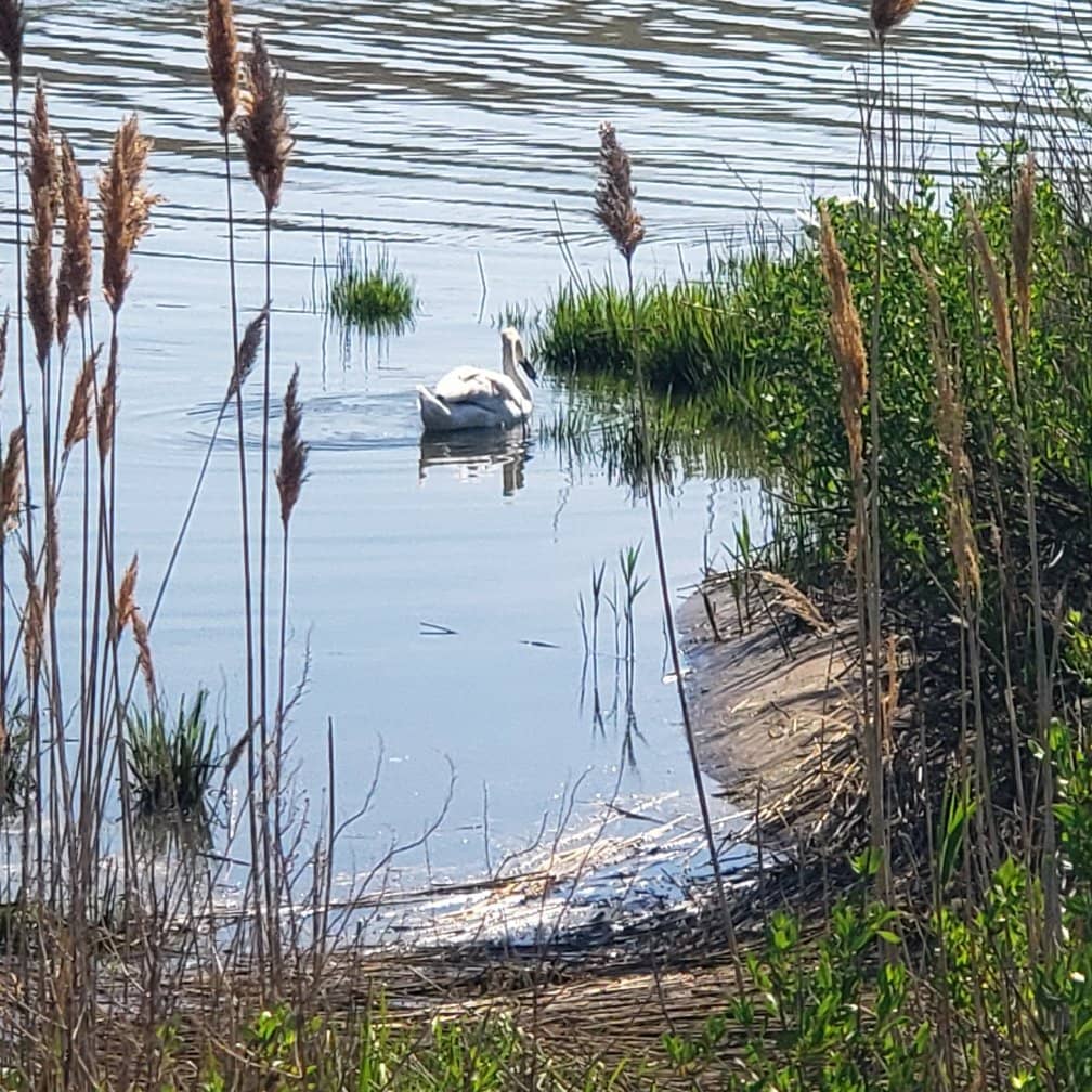 Picnic & Relaxation Spots