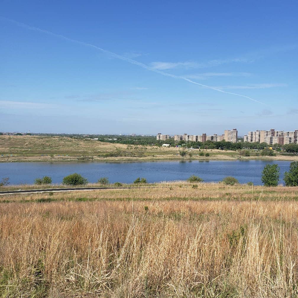 Birdwatching Haven