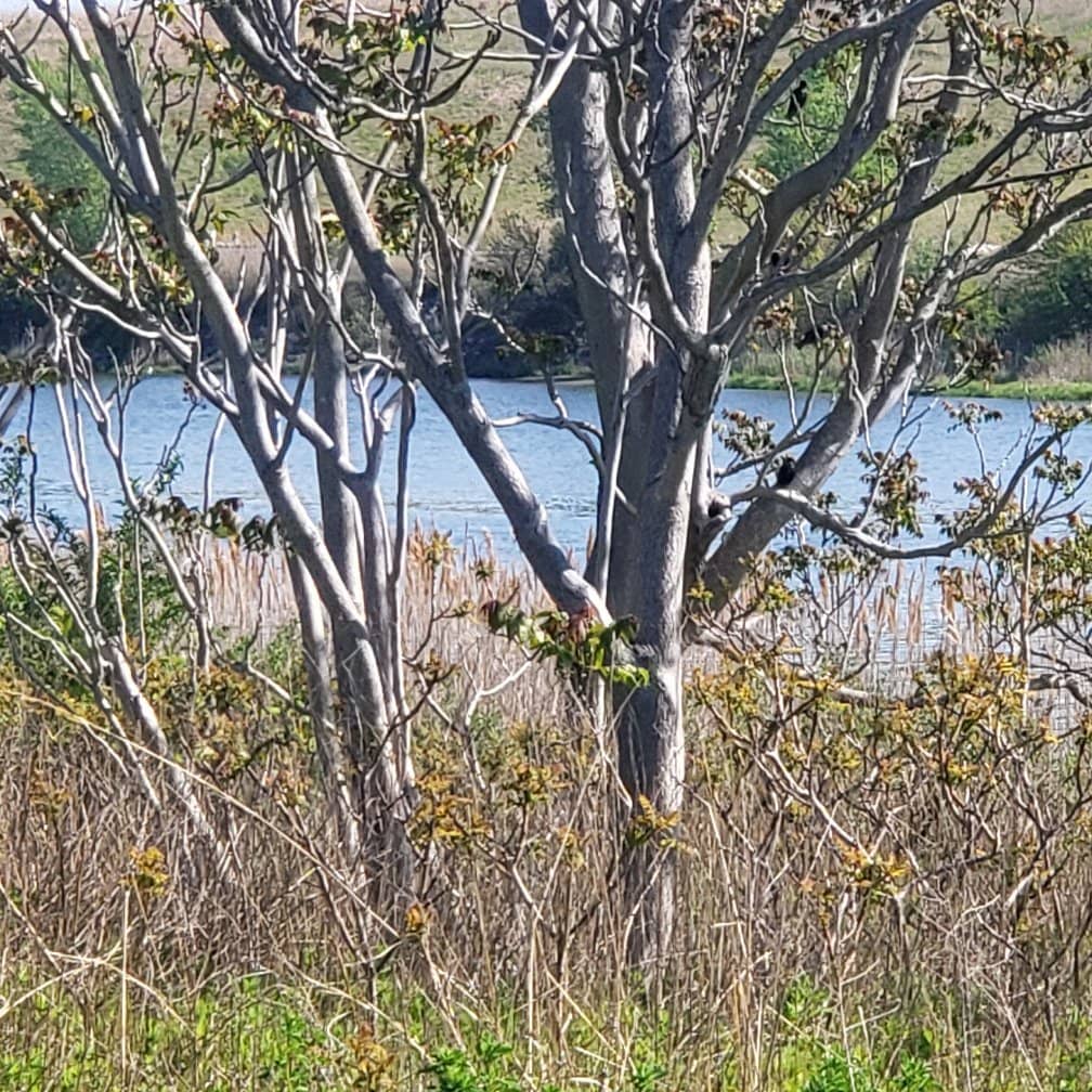 Jamaica Bay Views