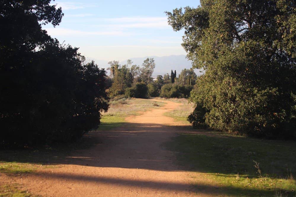 Tranquil Picnic Spots