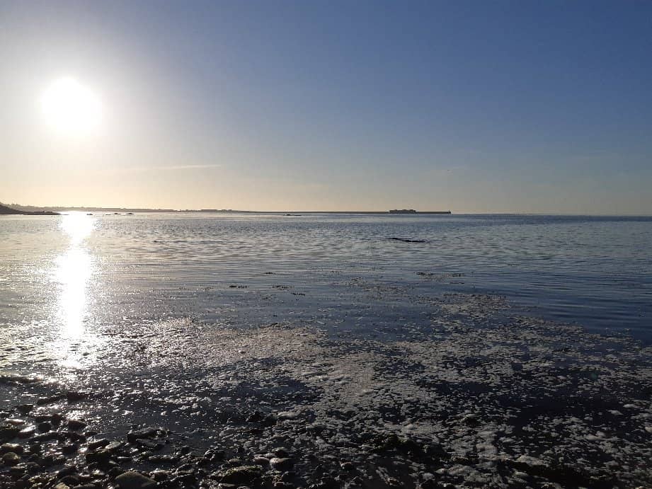 Peaceful Harbor Views