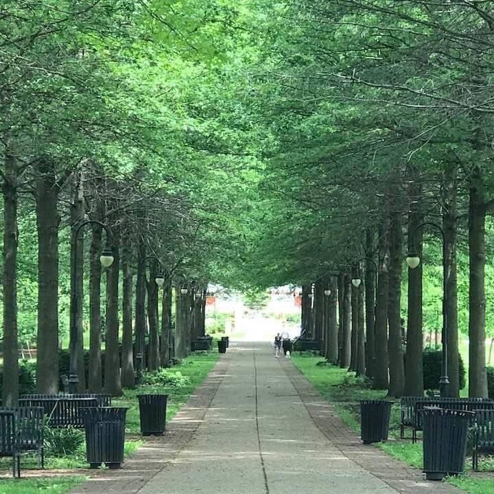Vertical photo