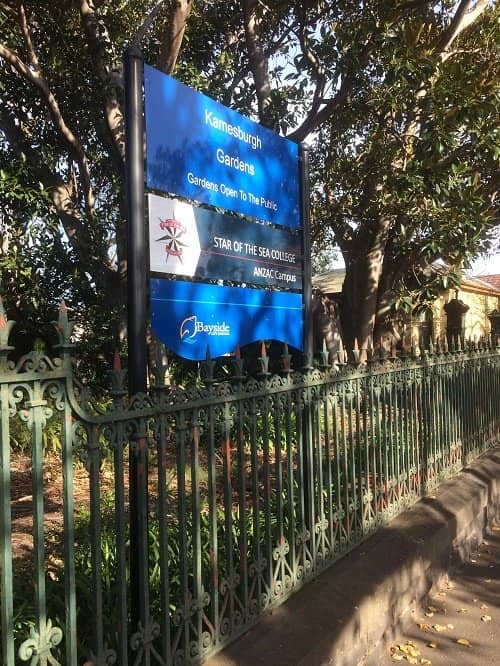 Mature Tree Collection