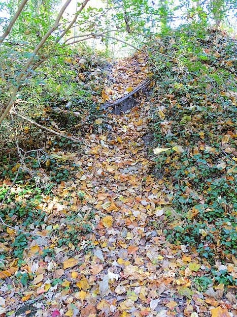 Historic Farm Structures