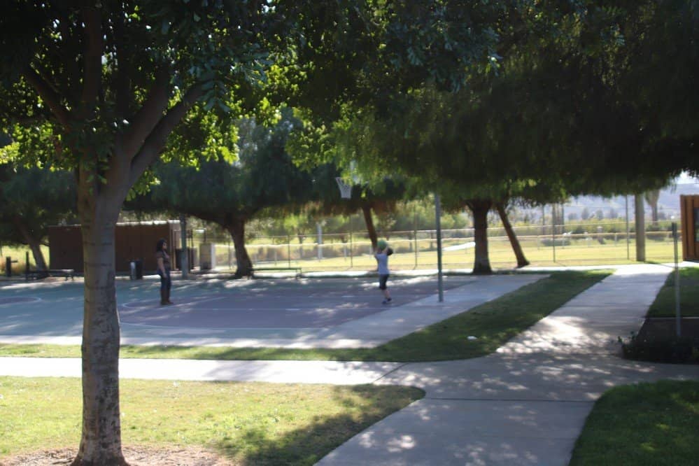 Sports Fields Galore