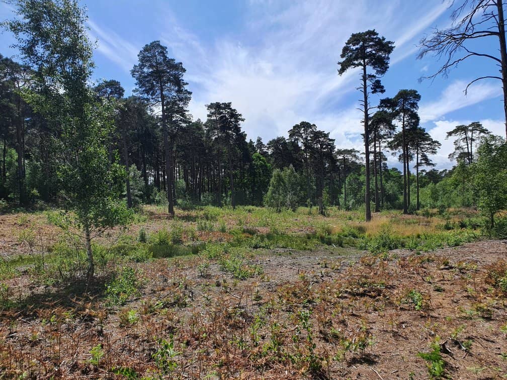 Semiphore Water Tower