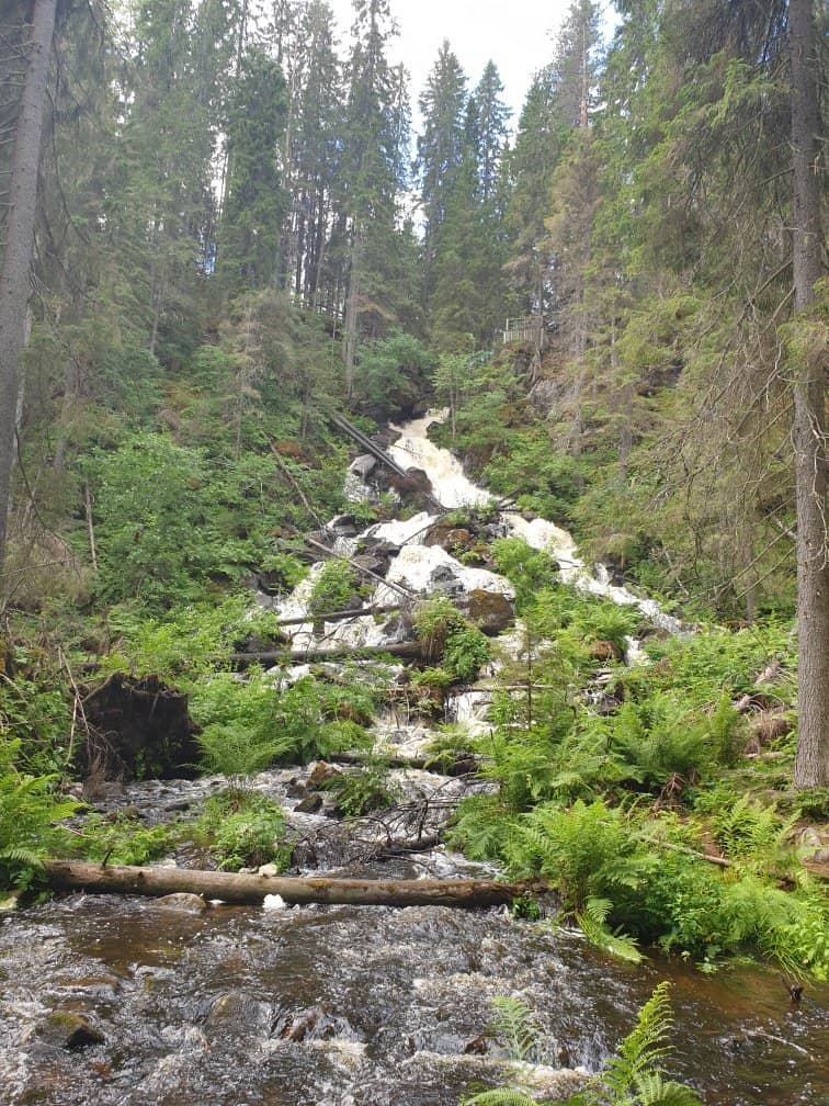 Vertical photo