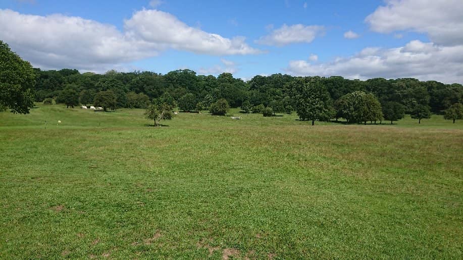 Beverley Westwood Pastures