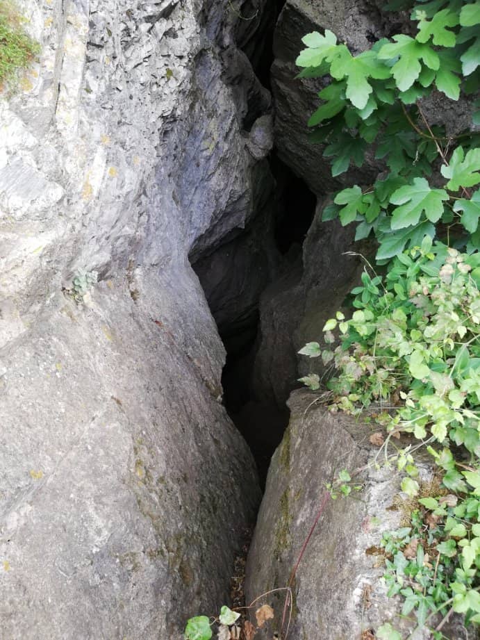 Spartan Historical Significance