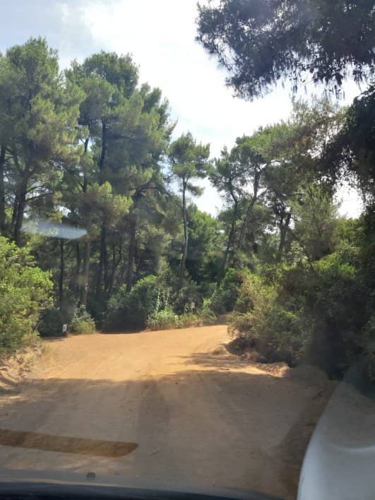 Crystal Clear Waters