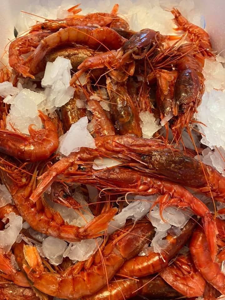 Exceptional Service & Ambiance