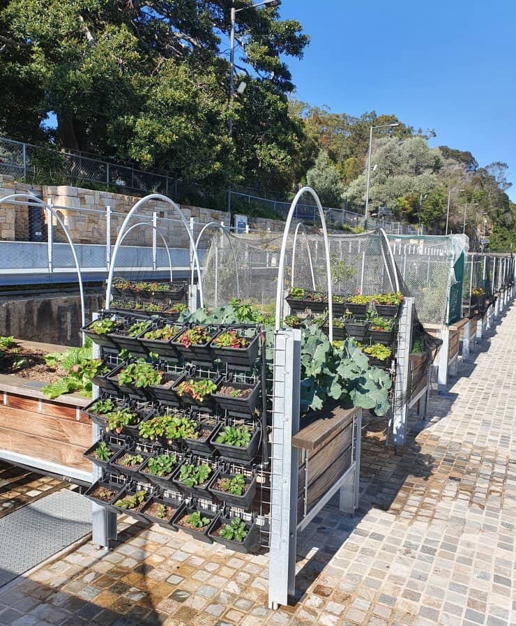 Historic Coal Loader Tunnel