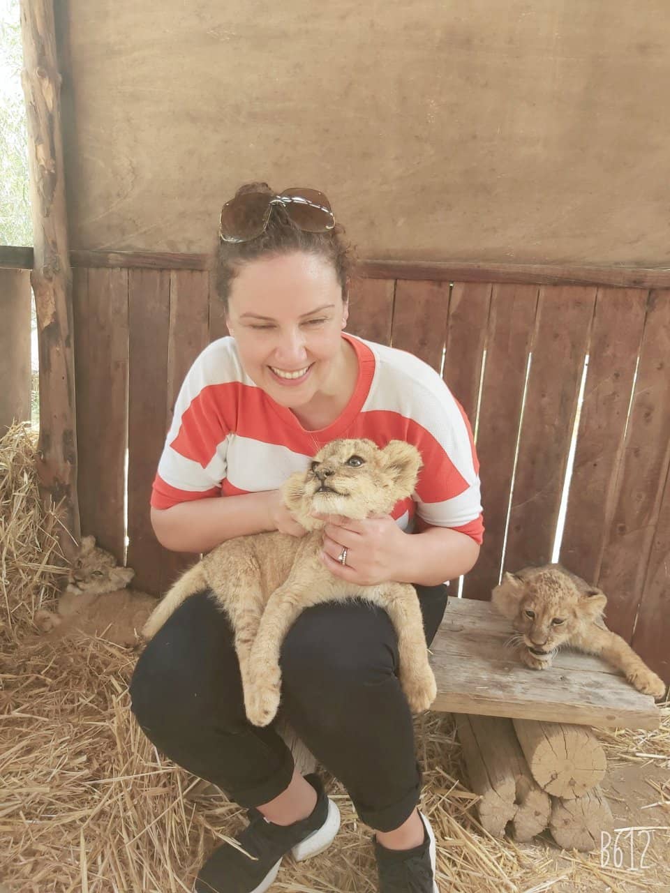 Camel Rides & Hand-Feeding Deer