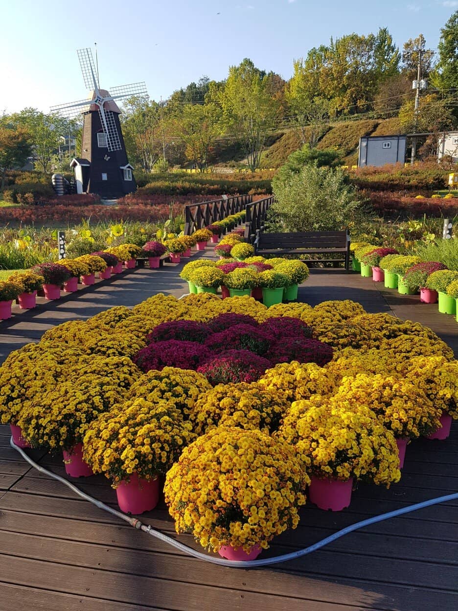 Daecheong Lake Sculpture Park