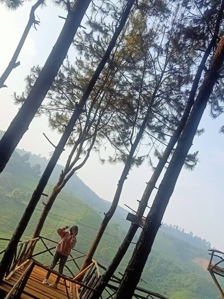 Vertical photo