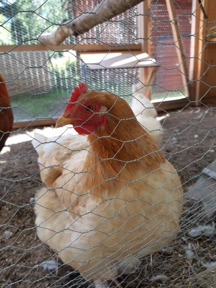 Riverfront Exploration