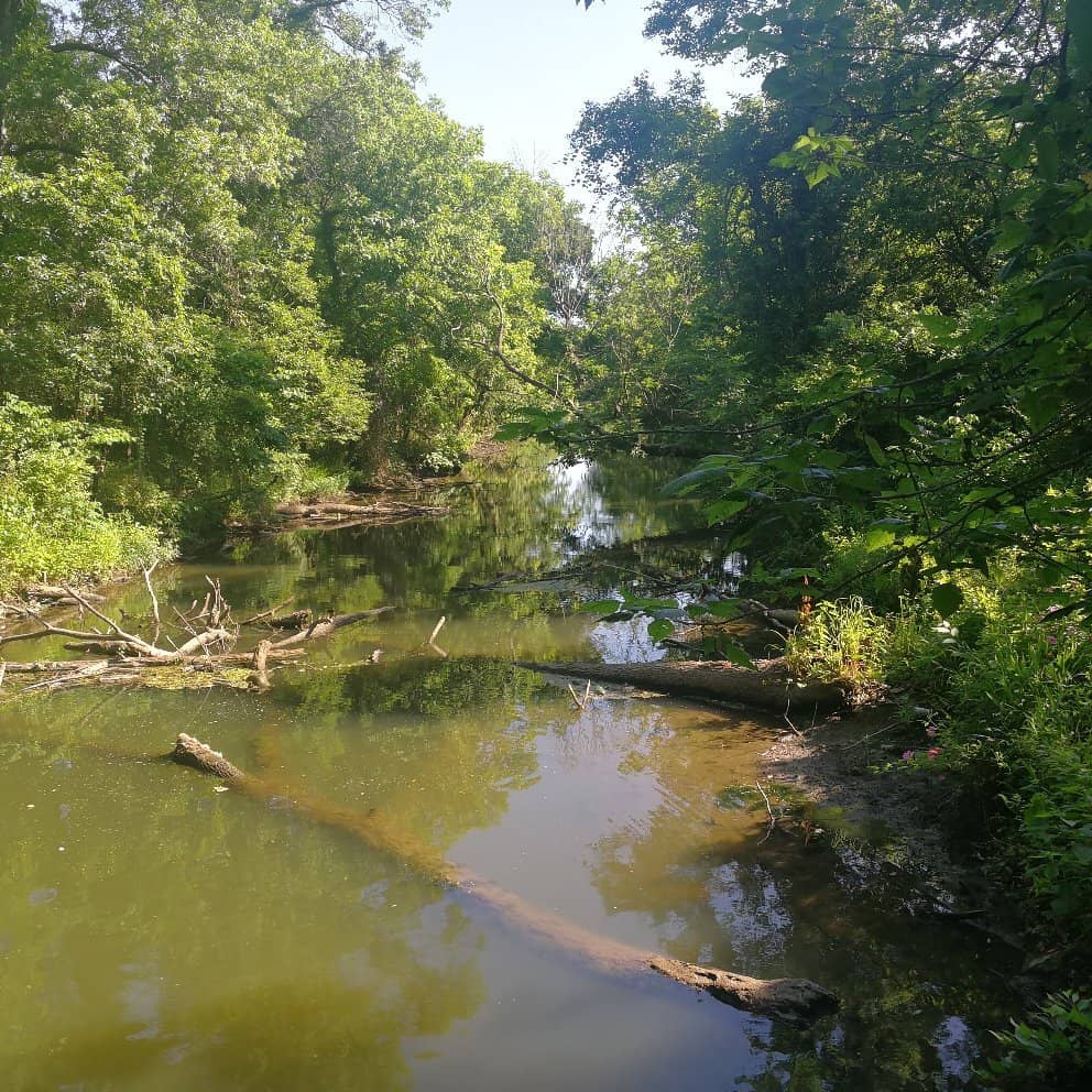 Disc Golf Course