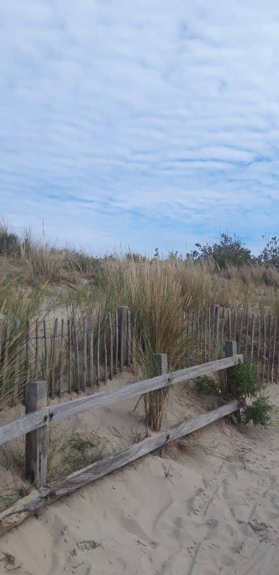 Deserted Beach Vibes
