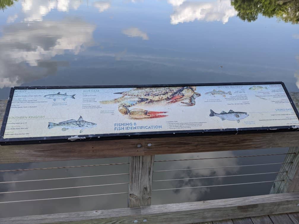 Sunrise & Sunset Spectacles