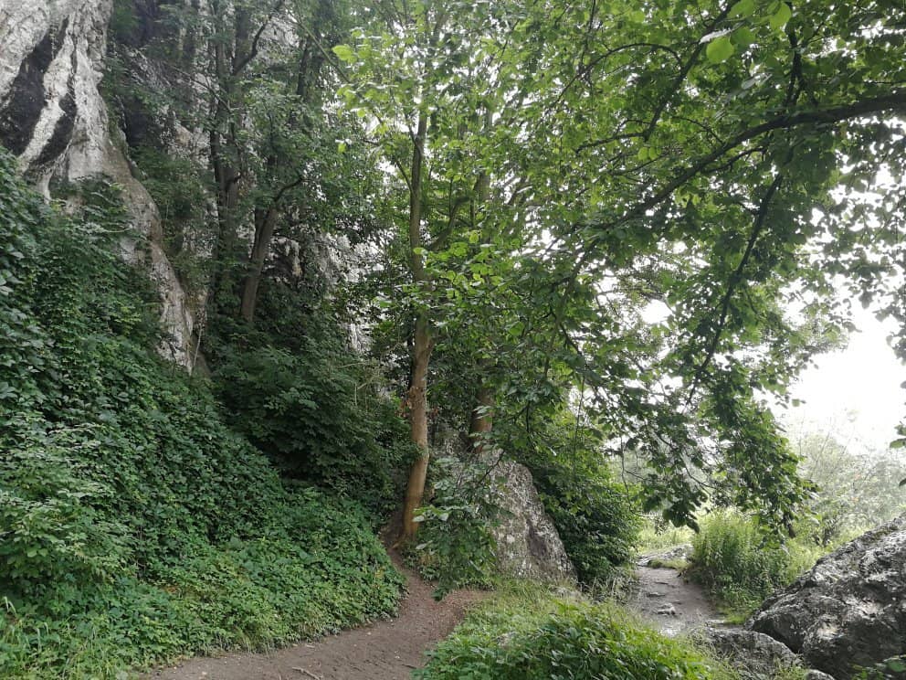 Vertical photo