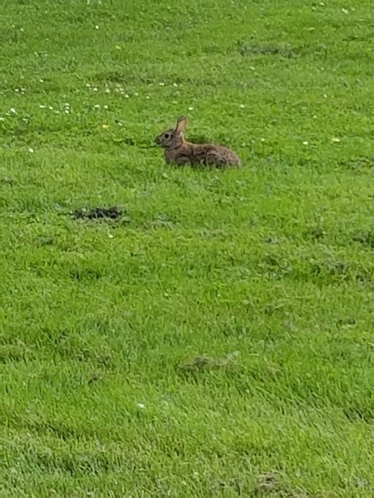 Outdoor Pool & Splash Park