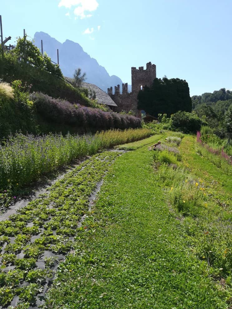 Peaceful Nature Stroll