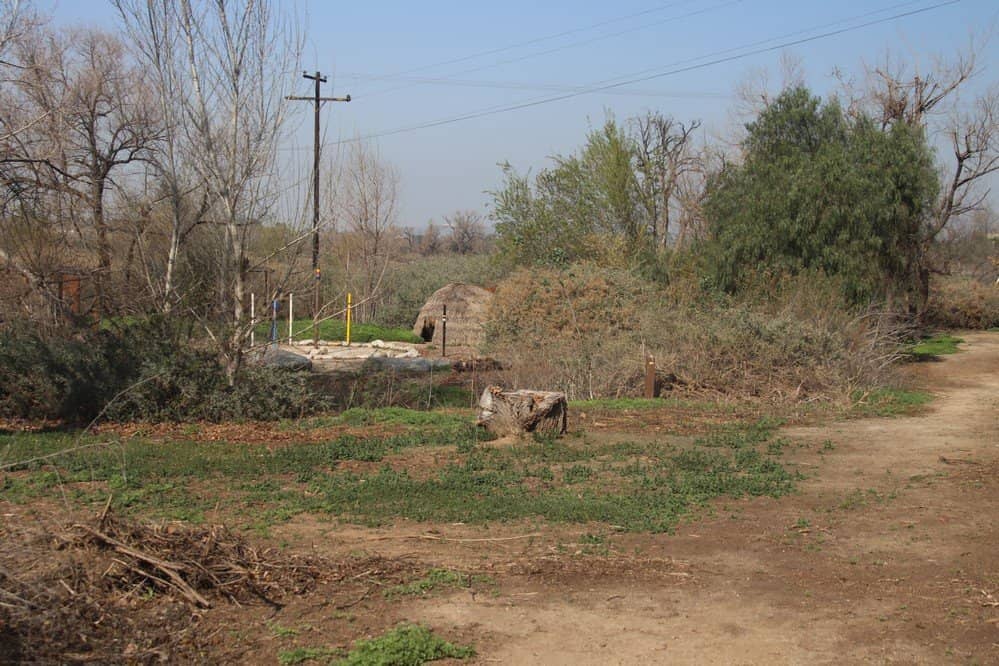 Equestrian Trails