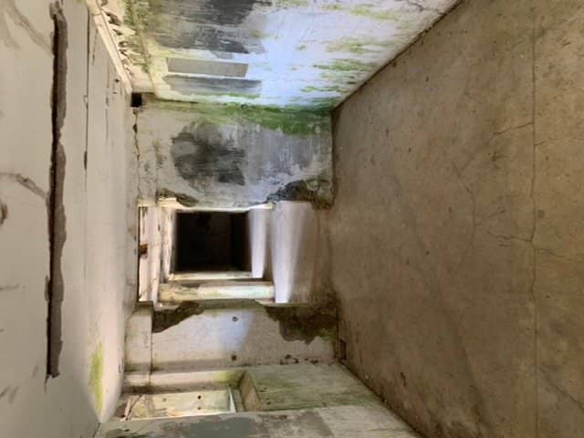 World War II History