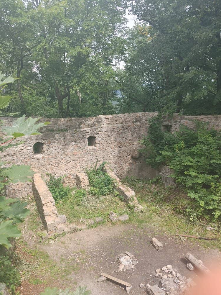 Panoramic Vistas