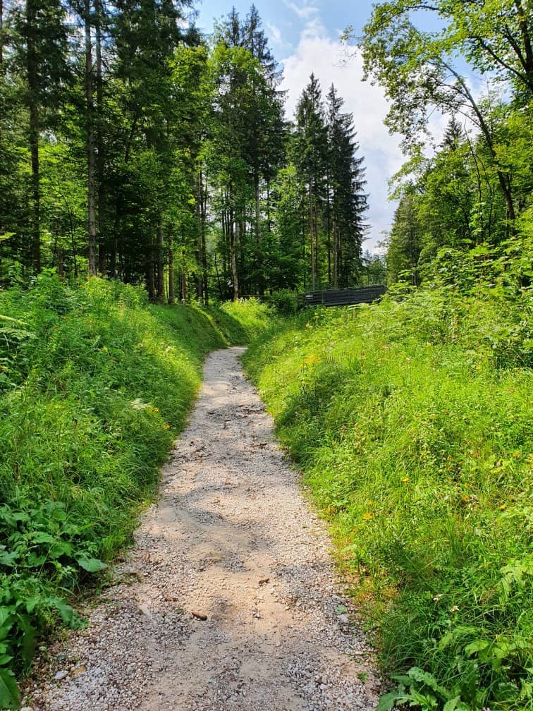 Explore Abandoned Tracks