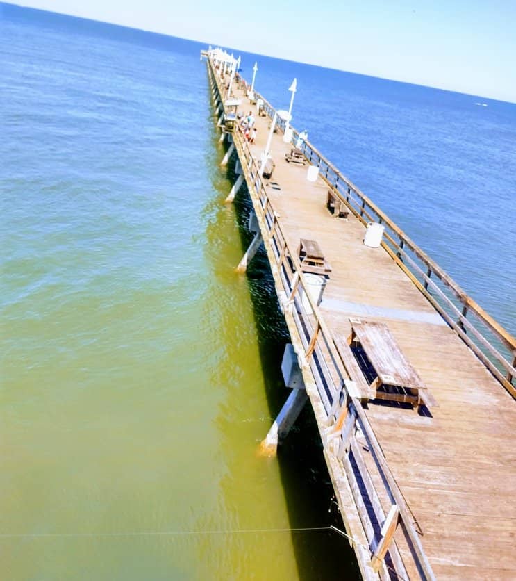 Chesapeake Bay Views