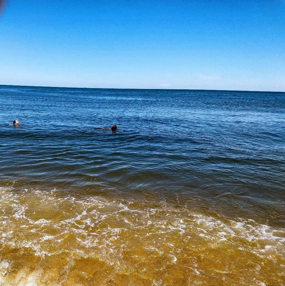 Climbing Trees & Nature