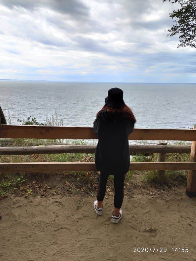 Tranquil Forest Walk