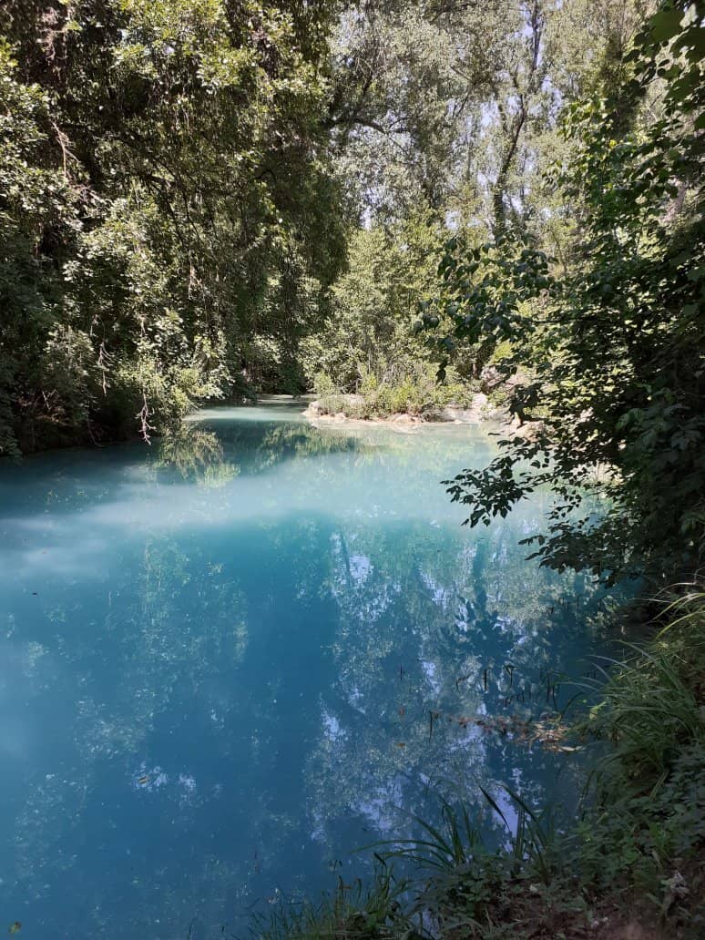 Nature's Playground