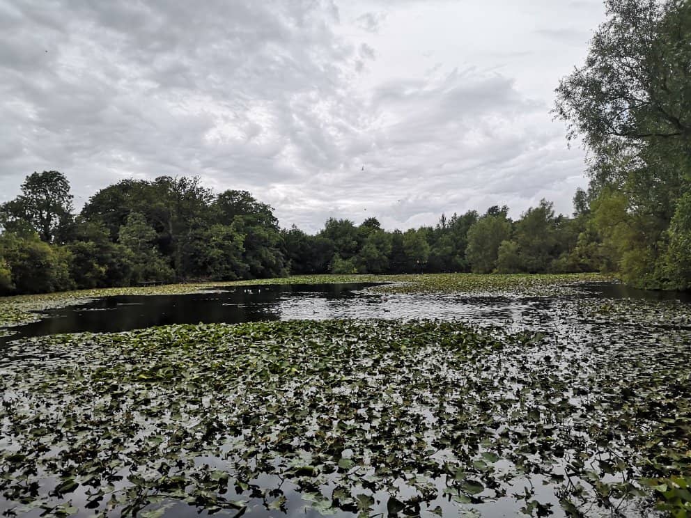 Birdwatching Paradise