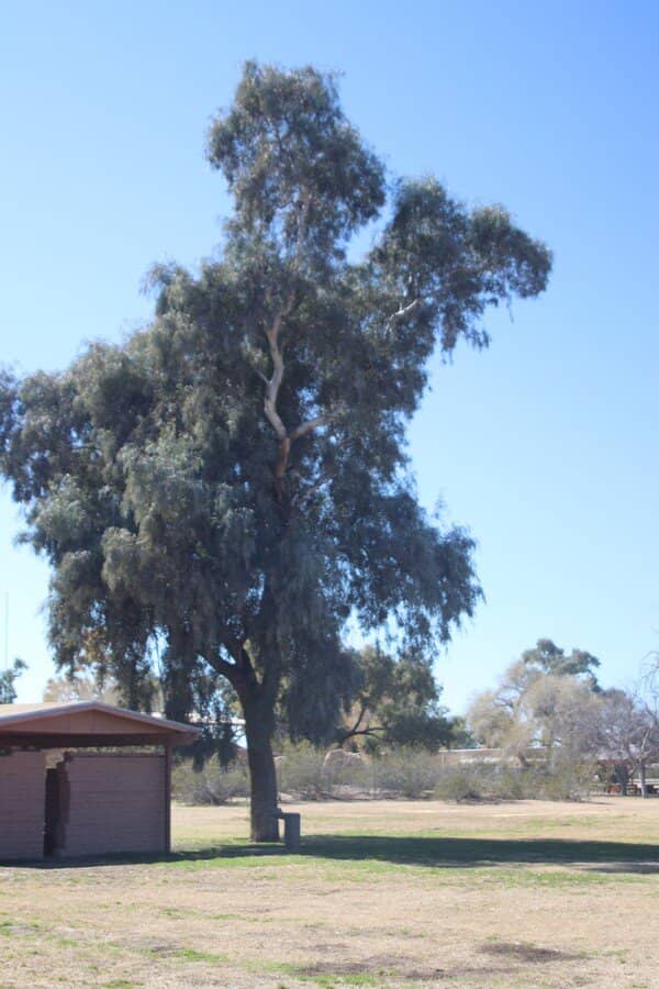 Guardhouse