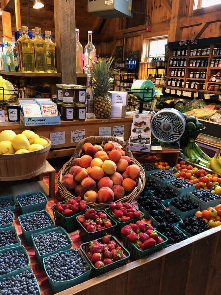 Pumpkin Patch Adventures