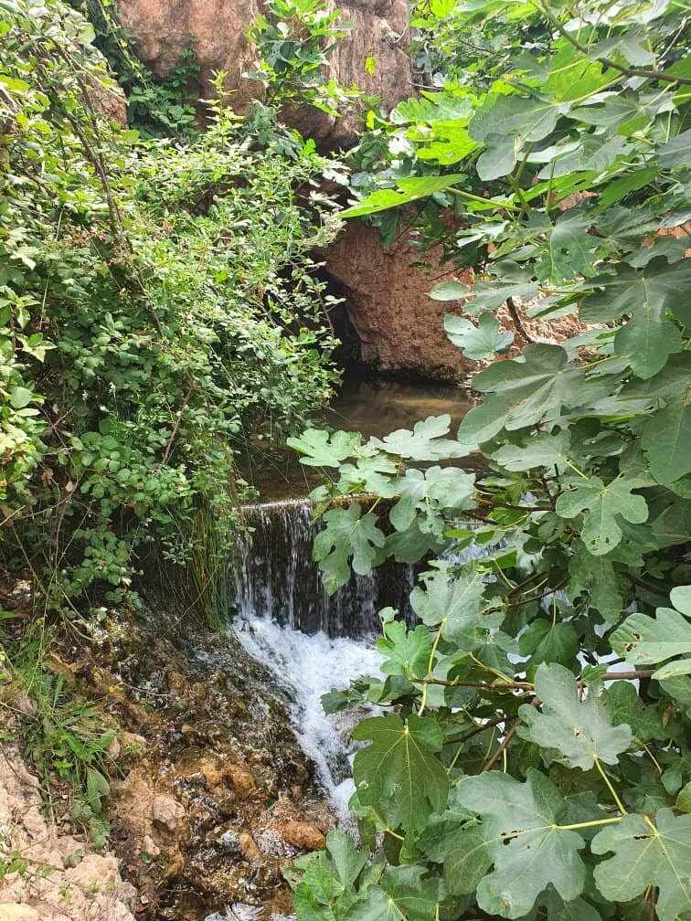 Vertical photo
