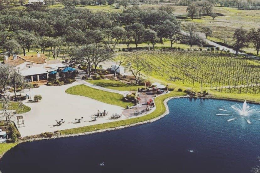 Welcoming Farm Animals