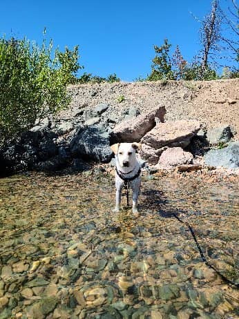 Scenic Rail Trail Cycling
