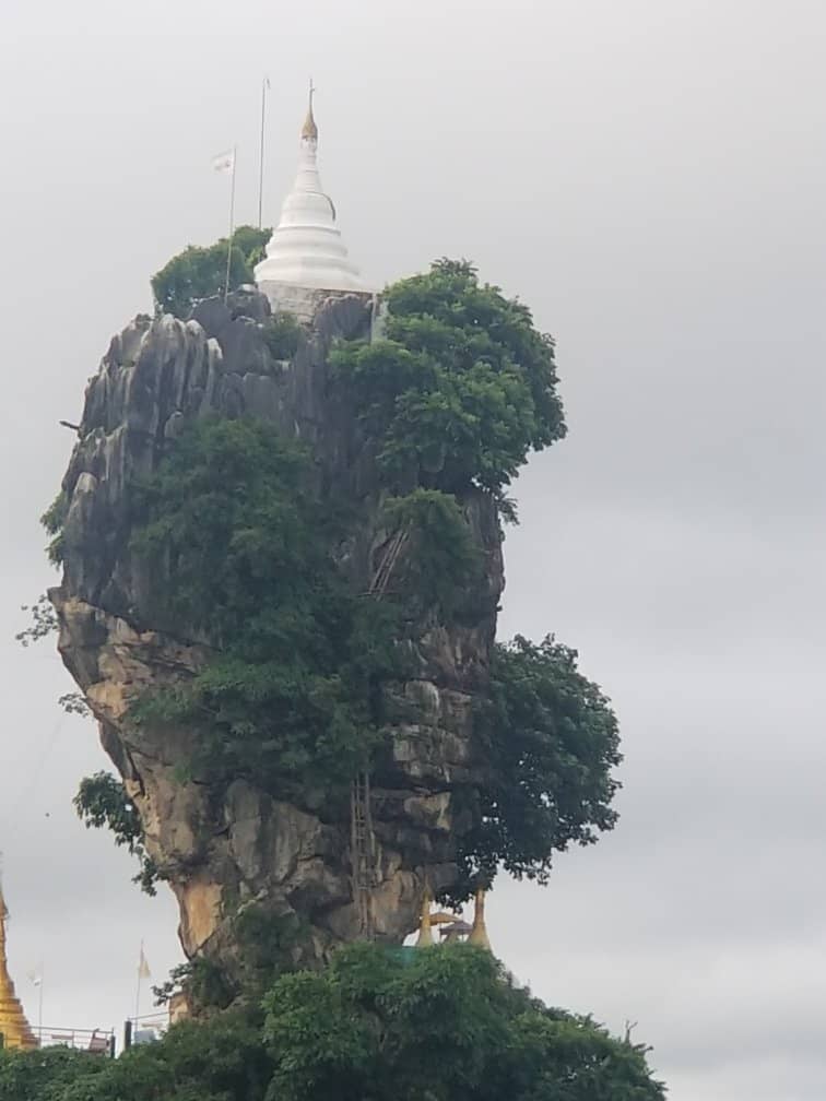 Serene Lake and Fish Feeding