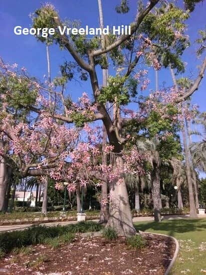 Rose Gardens