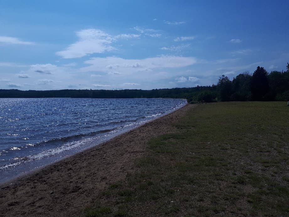 Dog-Friendly Beach