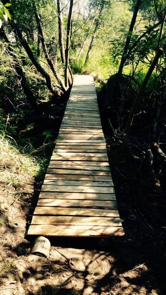 Vertical photo