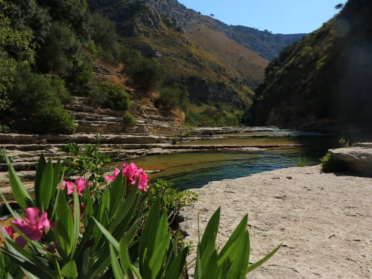 The Canyon Hike