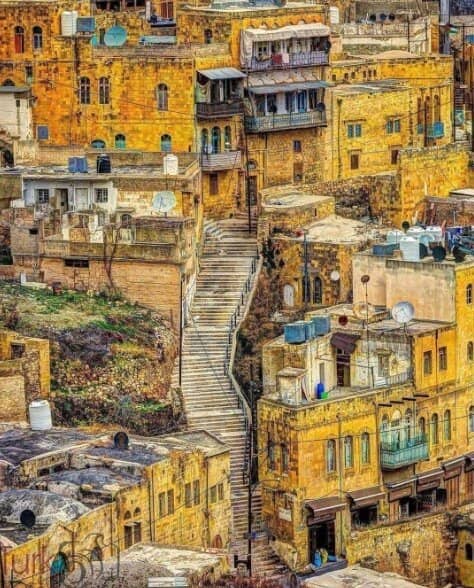 Local Shops & Souvenirs